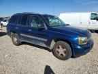 2003 CHEVROLET Trailblazer