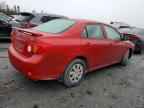 2009 TOYOTA COROLLA