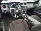 2013 FORD MUSTANG