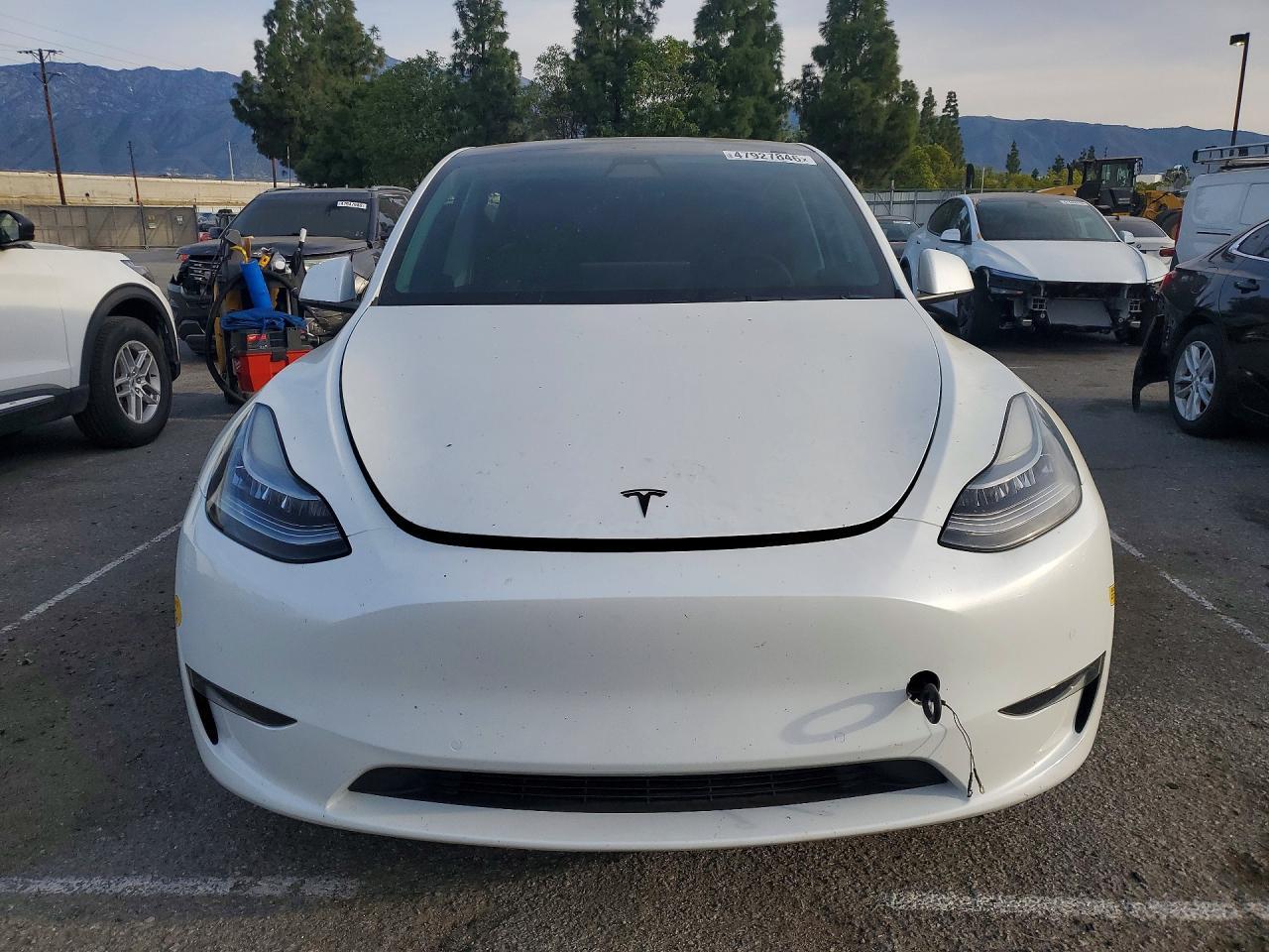 2021 TESLA MODEL Y