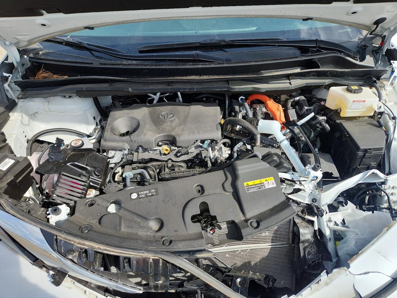 2024 TOYOTA SIENNA
