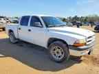 2003 DODGE Dakota