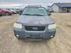 2007 FORD ESCAPE