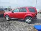 2008 FORD ESCAPE