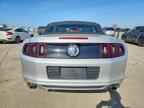2013 FORD MUSTANG