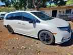2024 HONDA ODYSSEY