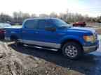 2009 FORD F-150