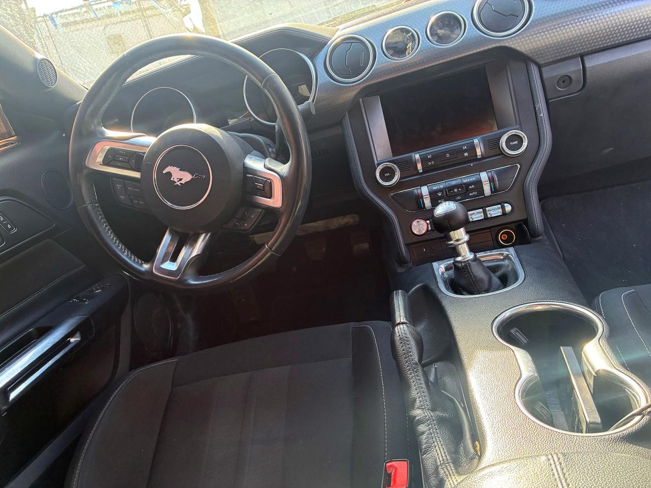 2019 FORD MUSTANG