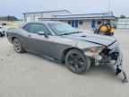 2009 DODGE Challenger