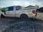 2013 FORD F-150 Lightning