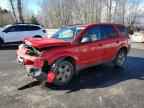 2004 Snowex Vue