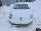 2016 VOLKSWAGEN Beetle