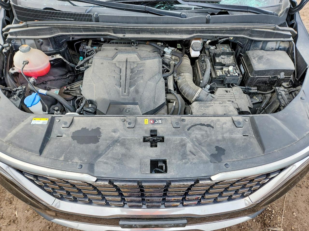 2024 KIA Carnival
