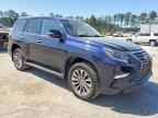 2021 LEXUS GX 460