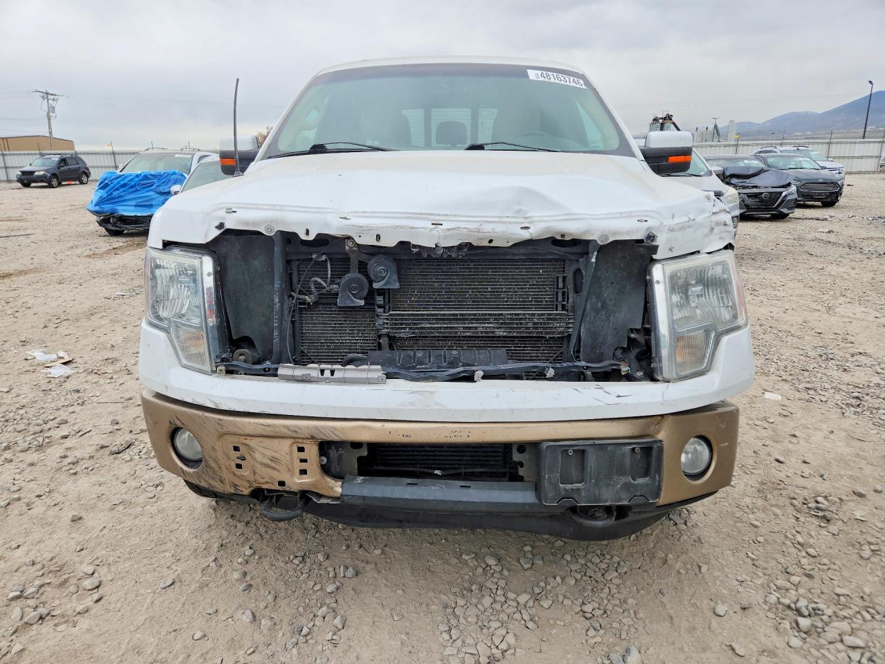 2011 FORD F-150 Lightning