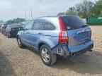 2010 HONDA CR-V