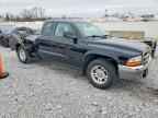2003 DODGE Dakota