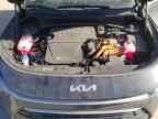 2025 KIA Niro
