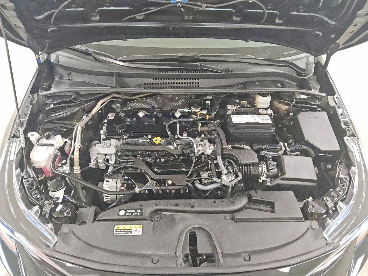 2025 TOYOTA COROLLA