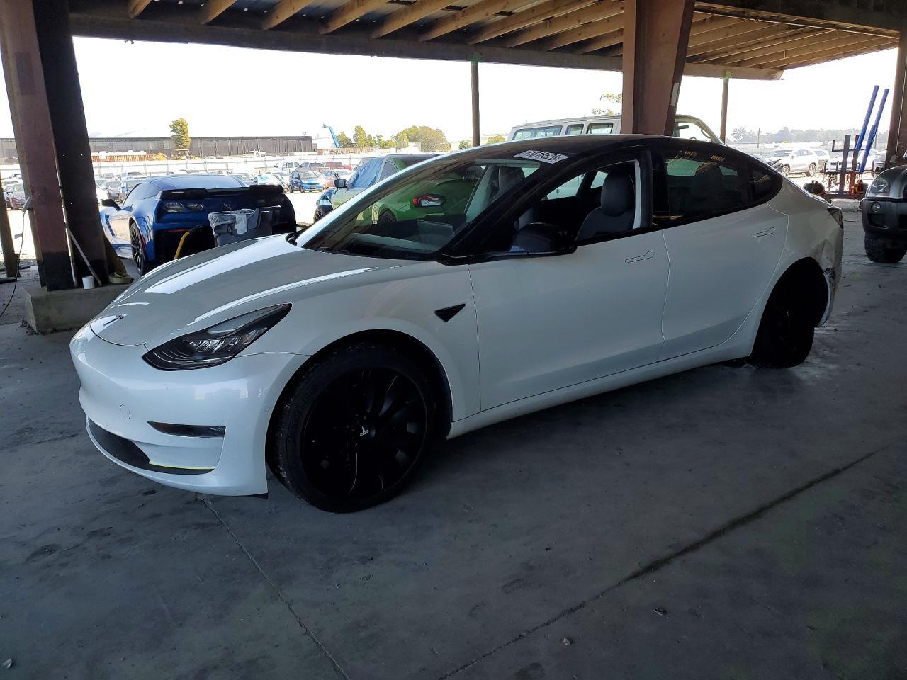 2019 TESLA MODEL 3