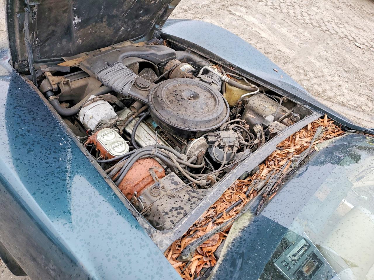 1980 CHEVROLET 28