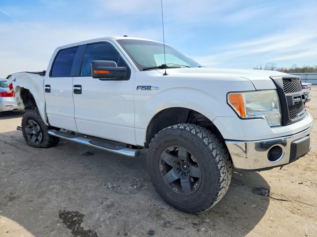 2010 FORD F-150