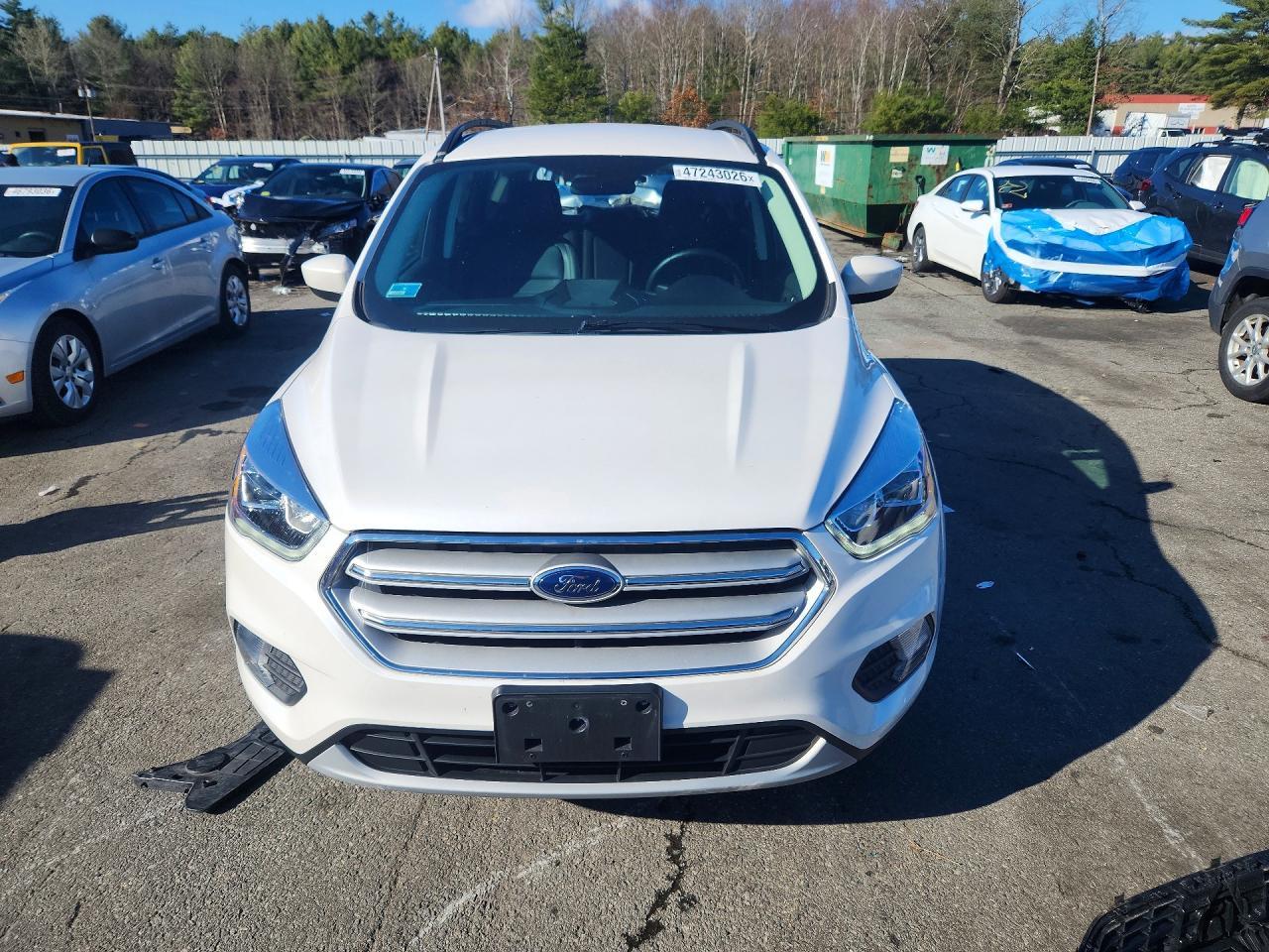 2019 FORD ESCAPE