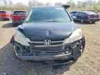 2010 HONDA CR-V