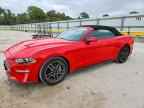 2023 FORD MUSTANG