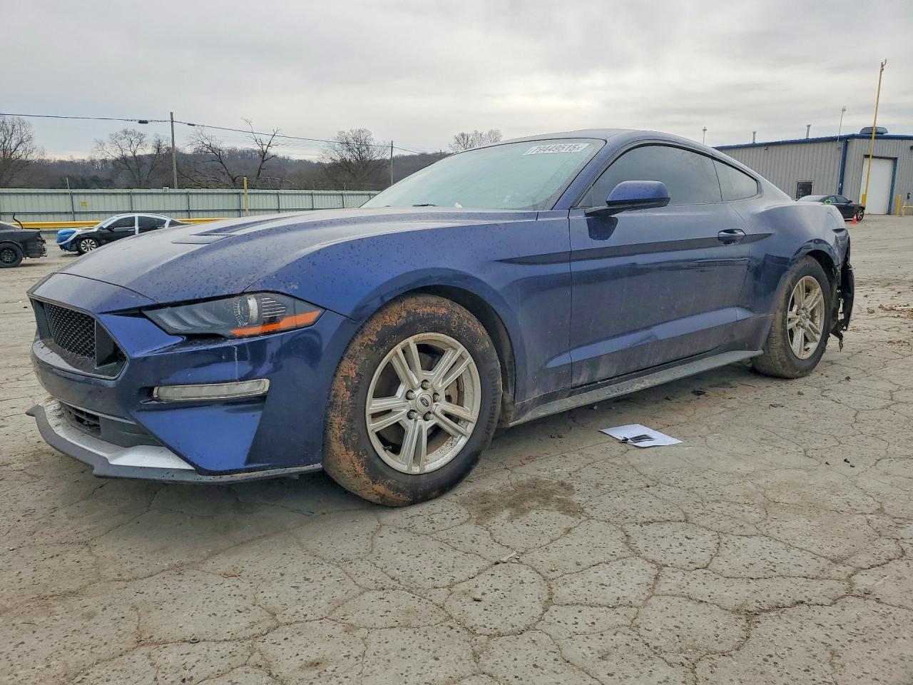 2019 FORD MUSTANG