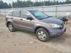 2010 HONDA CR-V
