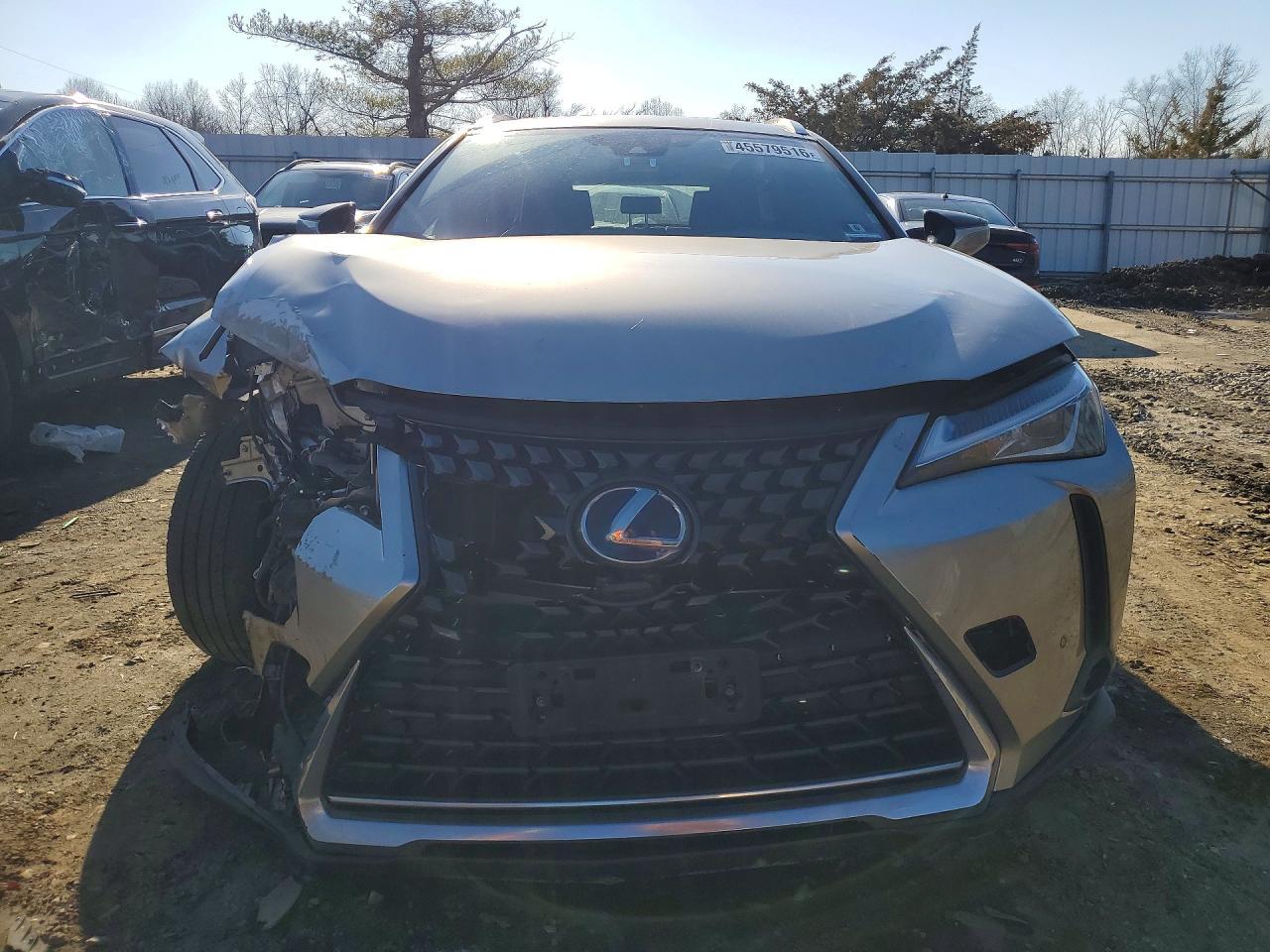 2019 LEXUS UX 250H