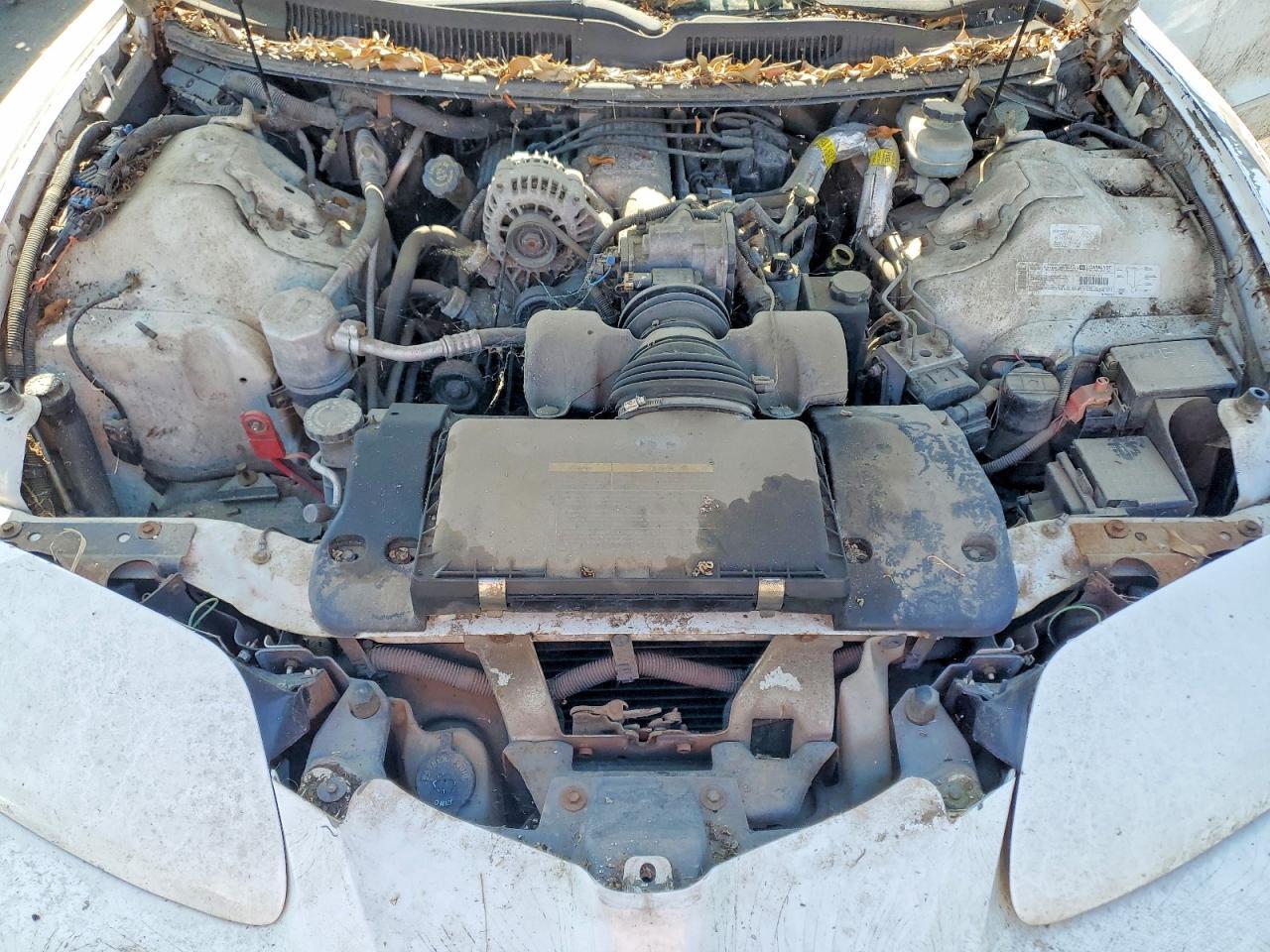 2002 PONTIAC Firebird