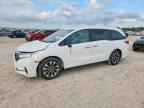 2024 HONDA ODYSSEY