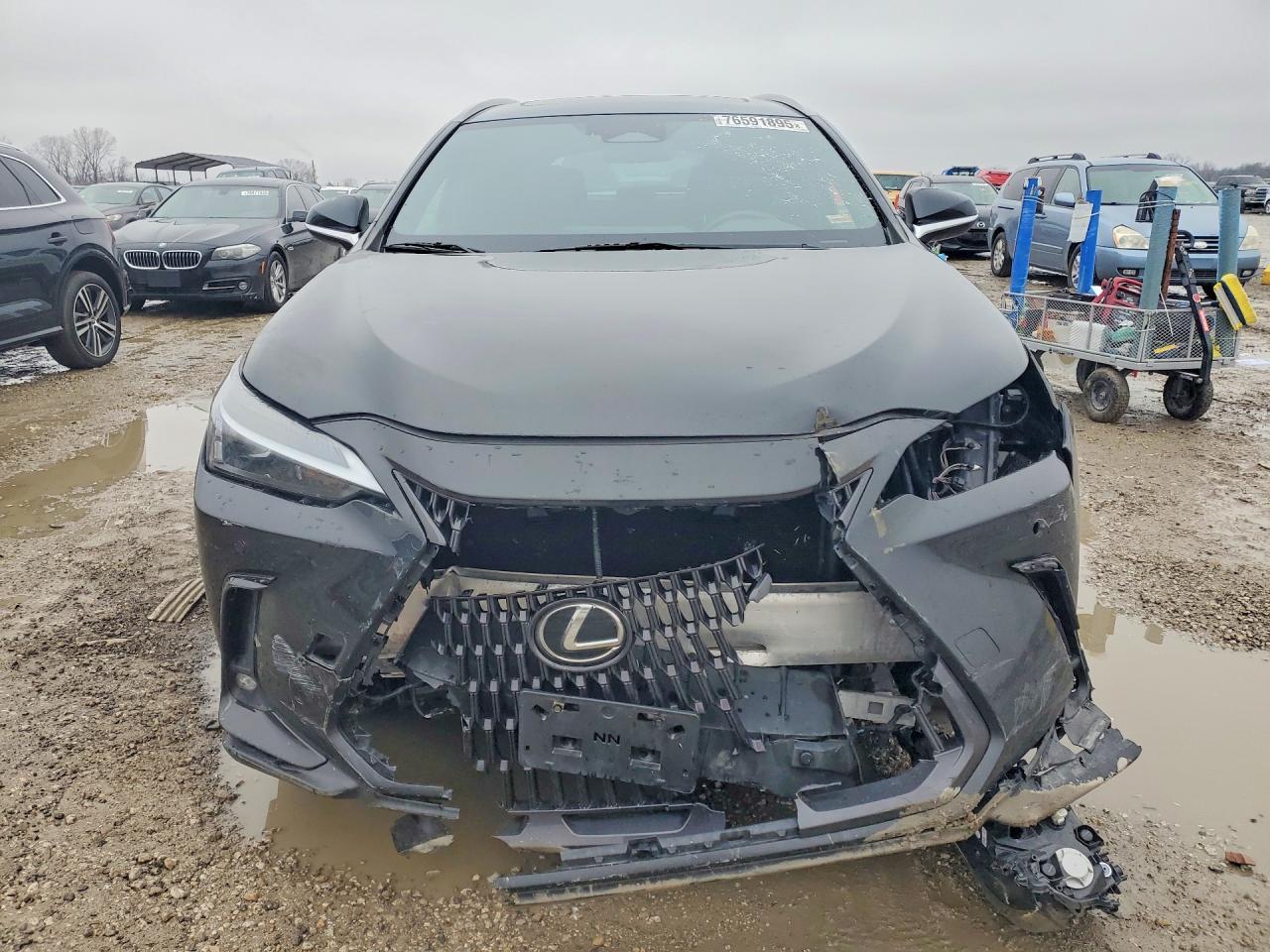2023 LEXUS NX 350