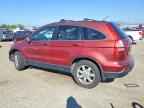 2008 HONDA CR-V