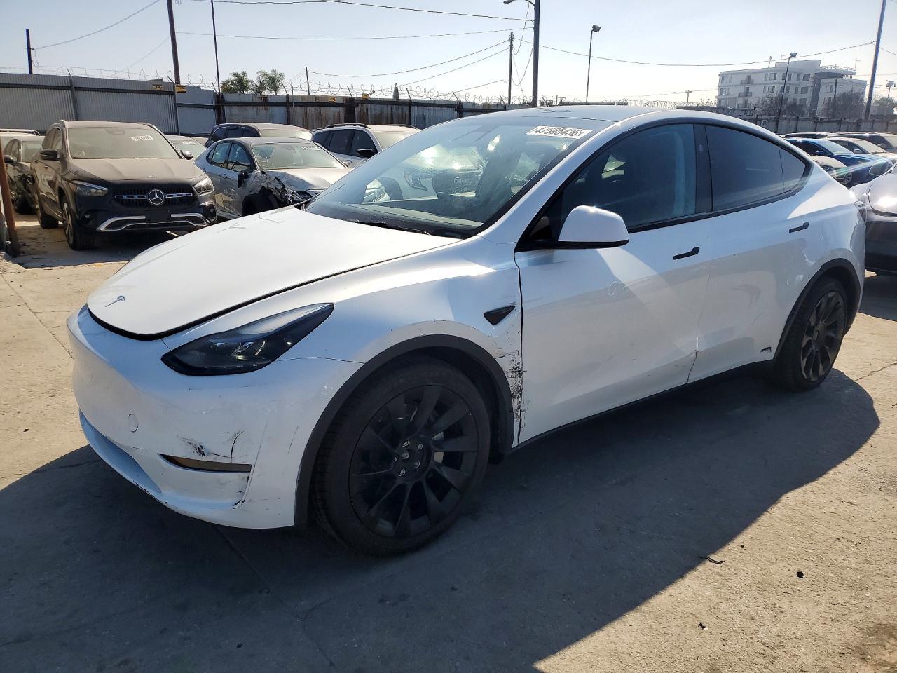 2024 TESLA MODEL Y