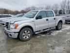 2014 FORD F-150 Lightning