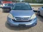2010 HONDA CR-V