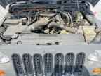 2007 JEEP WRANGLER