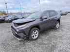 2024 TOYOTA RAV4 Prime