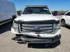 2010 FORD F-150 Lightning
