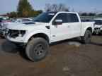 2014 FORD F-150 Lightning