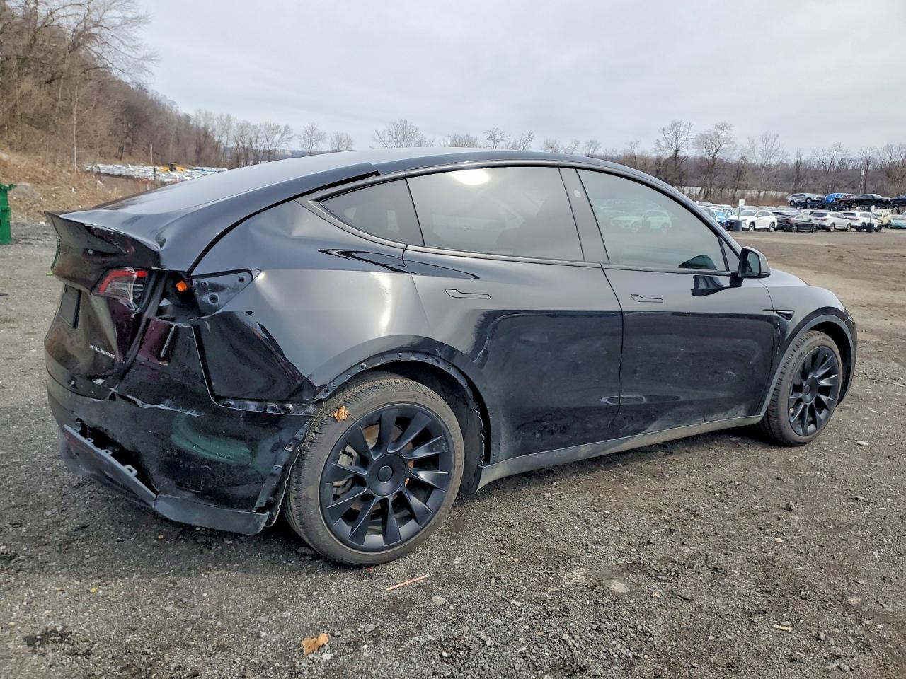 2025 TESLA MODEL Y