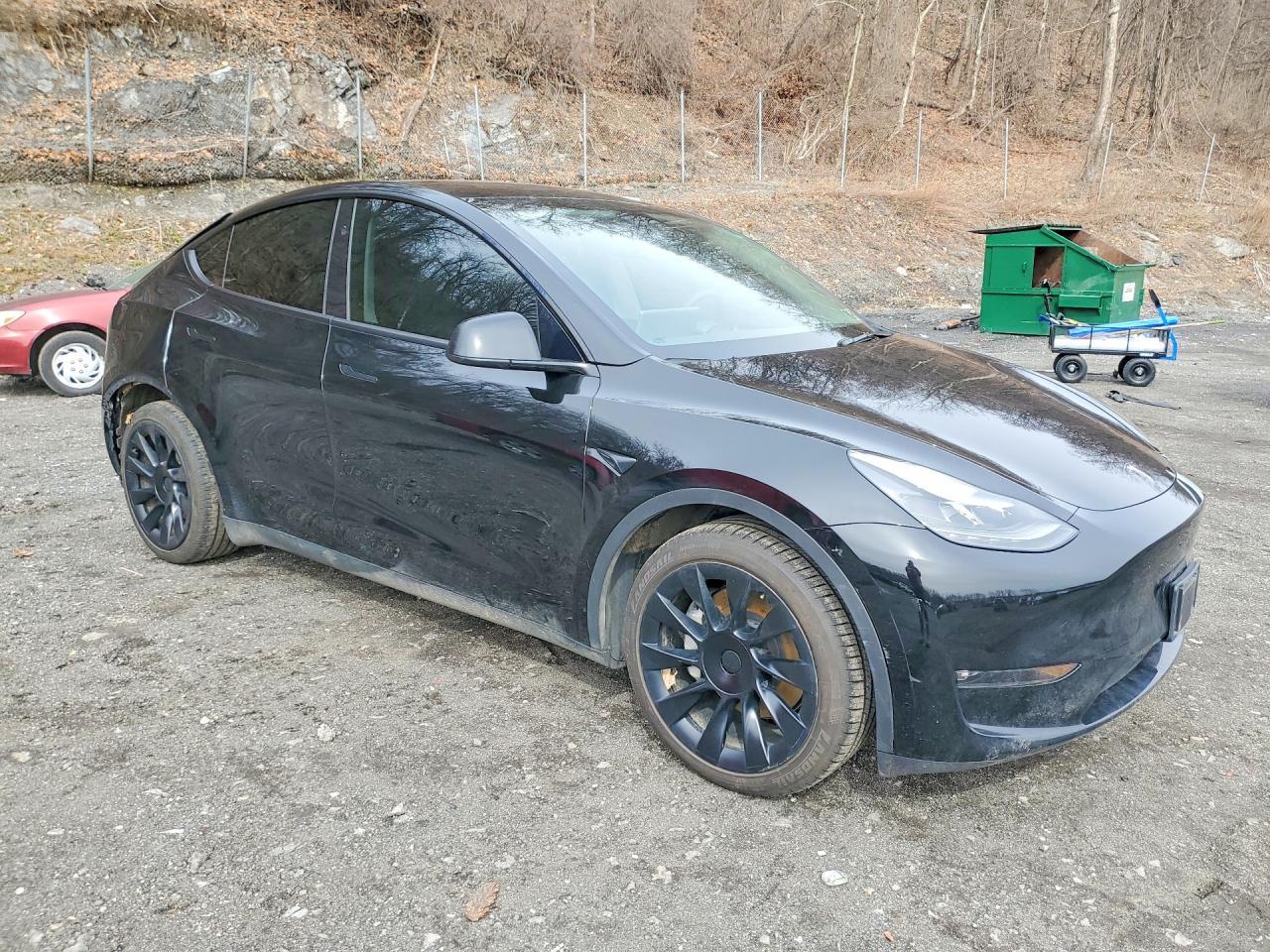 2025 TESLA MODEL Y