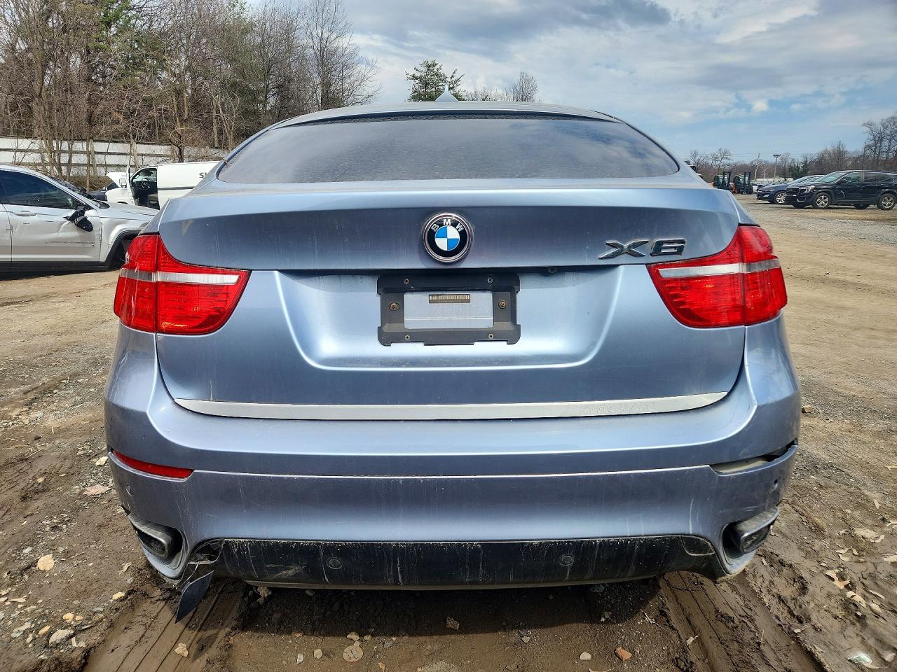 2010 BMW X6