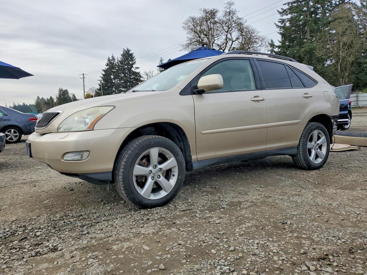 2004 LEXUS Rx 330