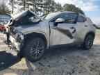 2024 LEXUS NX 250