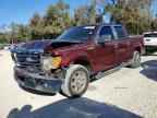 2009 FORD F-150 Lightning