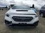 2024 SUBARU WRX